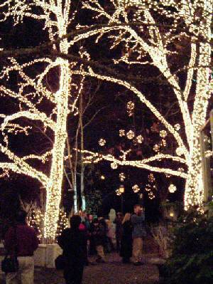 ������H�����I�����l�ł����ς��B