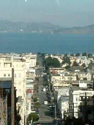 �T���t�����V�X�R�̋}��̌������Ɍ�����C