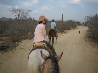メキシコクルーズ乗馬