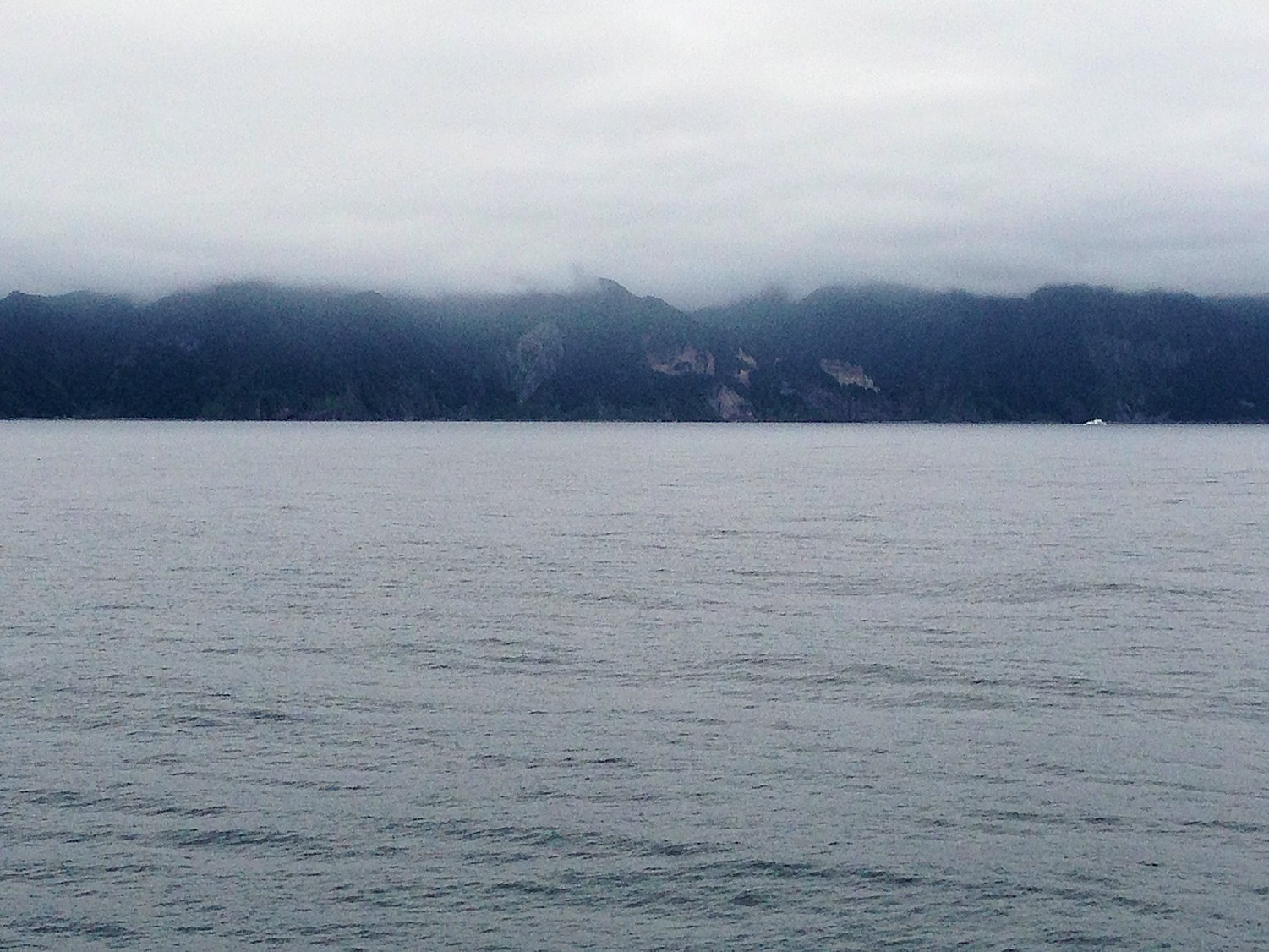 �T���v�����Z�X�k�C�����V �m��