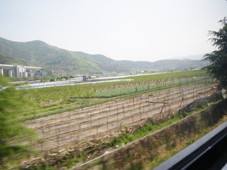 �{�C�W���[�E�I�u�E�U�E�V�[�Y�������� 4����