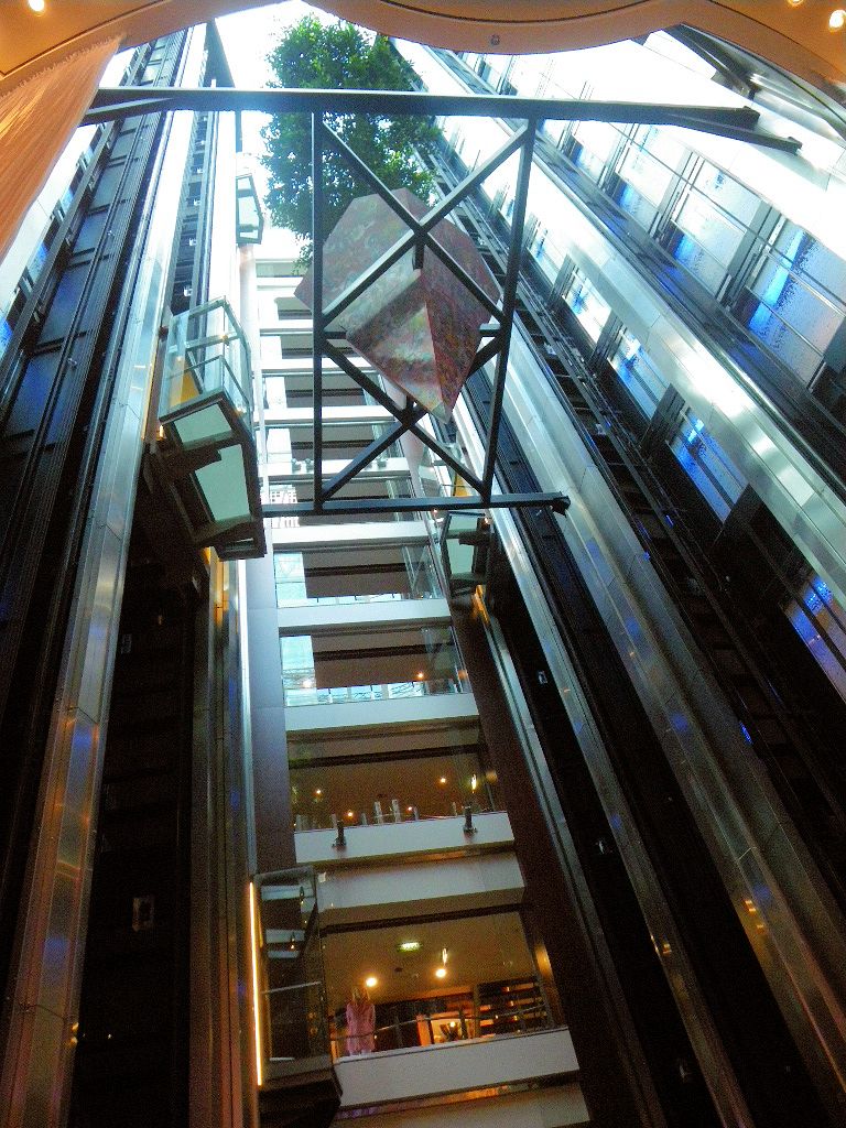 船の真ん中の木