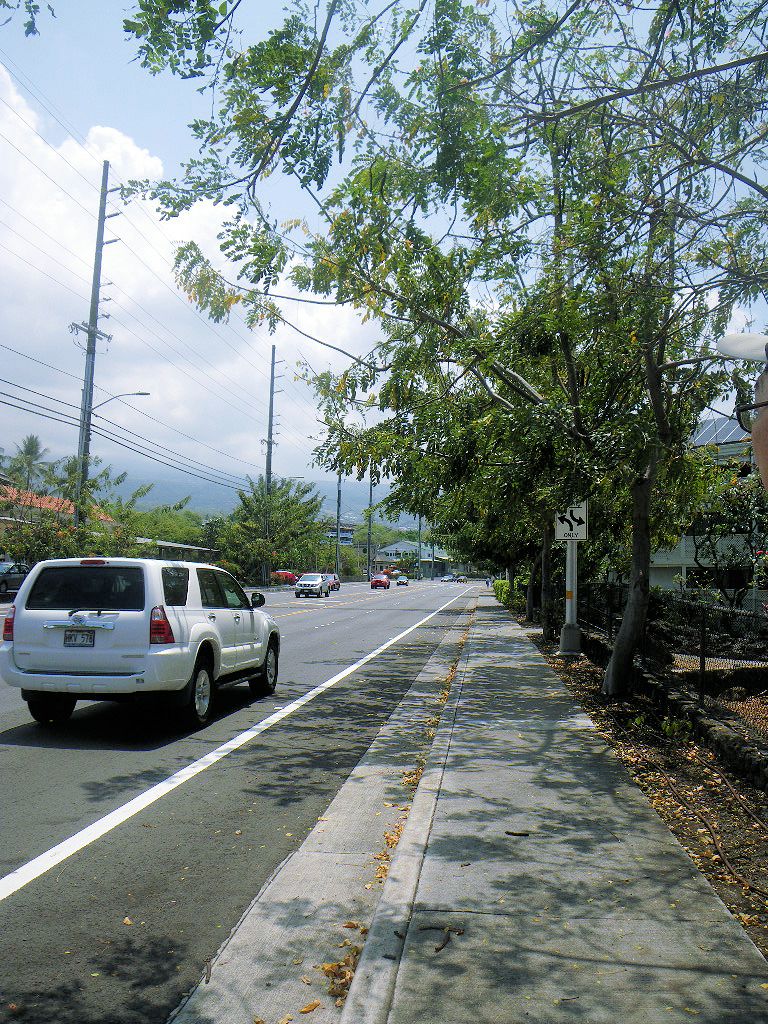 木陰のような日照りのような道をちょっとだけ走る