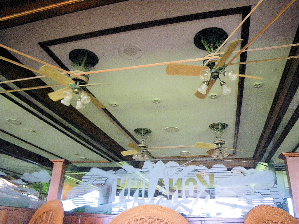 シーリングファン