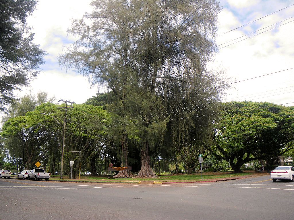 海辺の緑地に到着