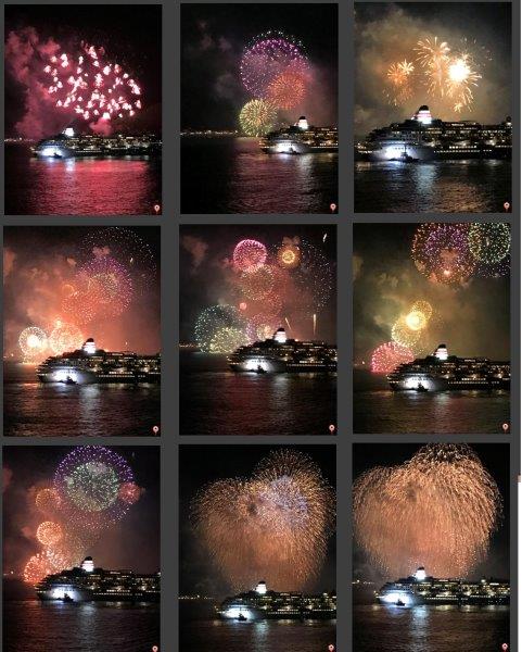 飛鳥の向こうに花火