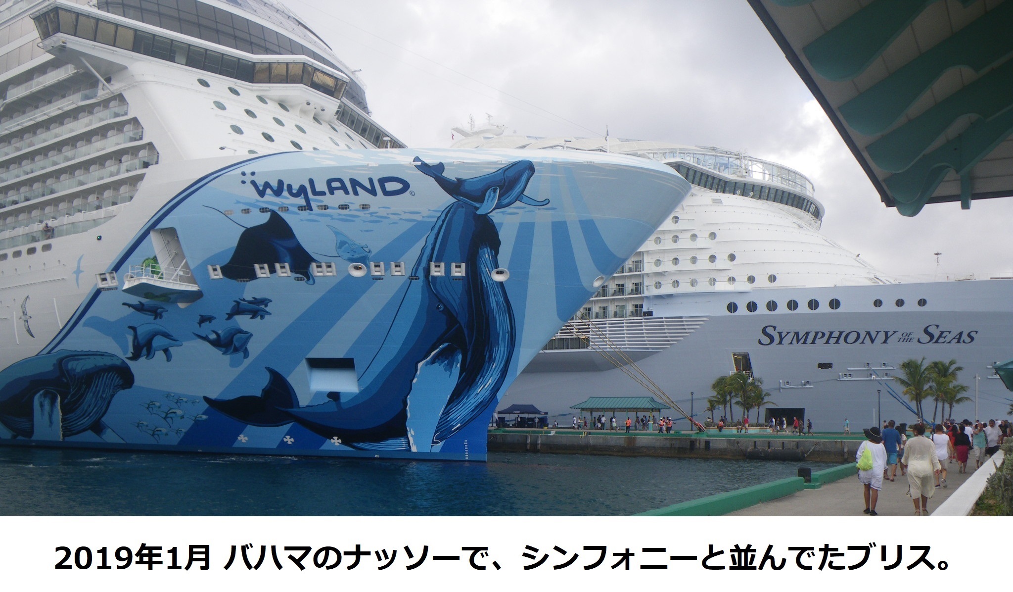 バハマで見たブリス