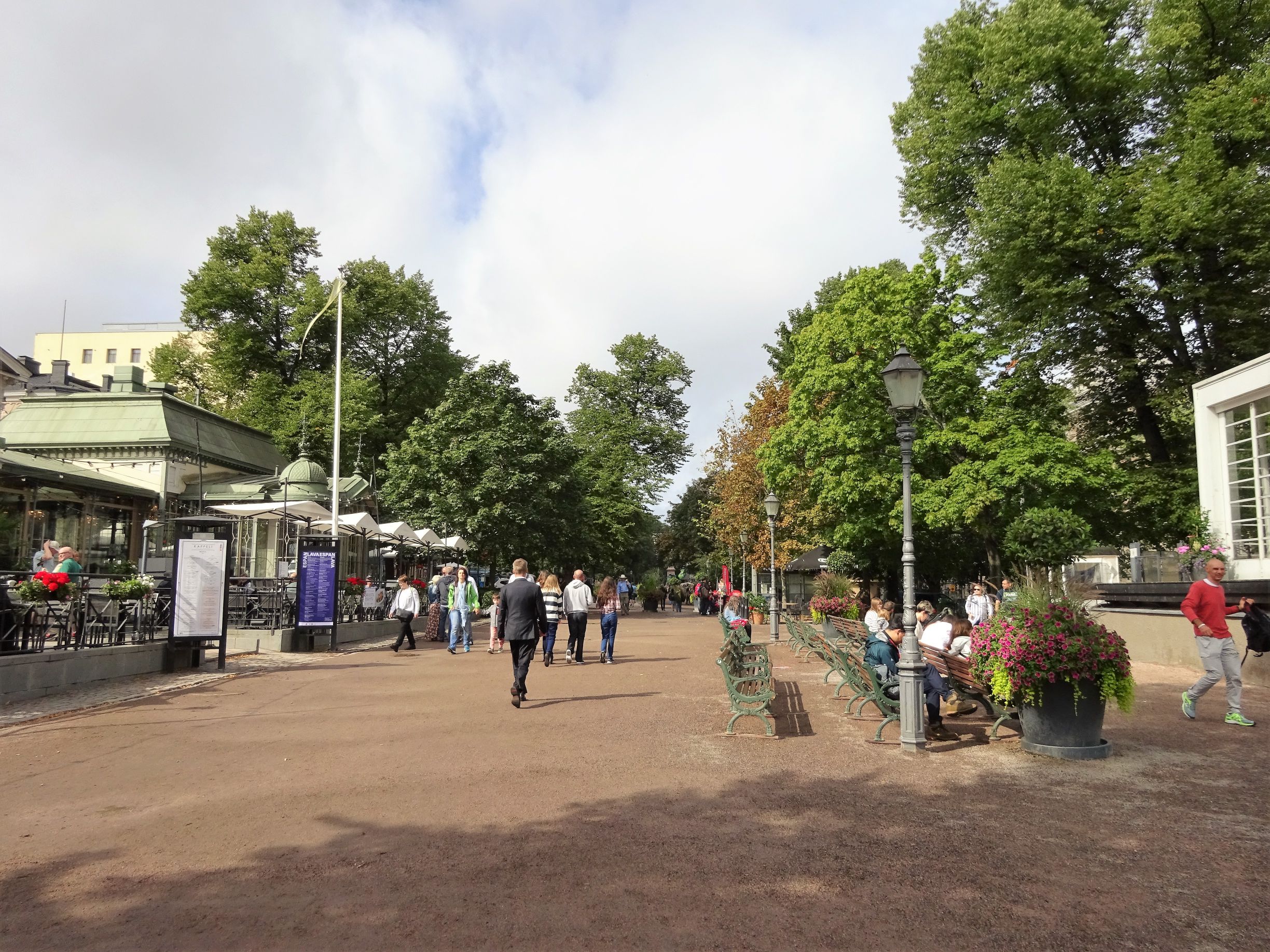 きれいな並木道