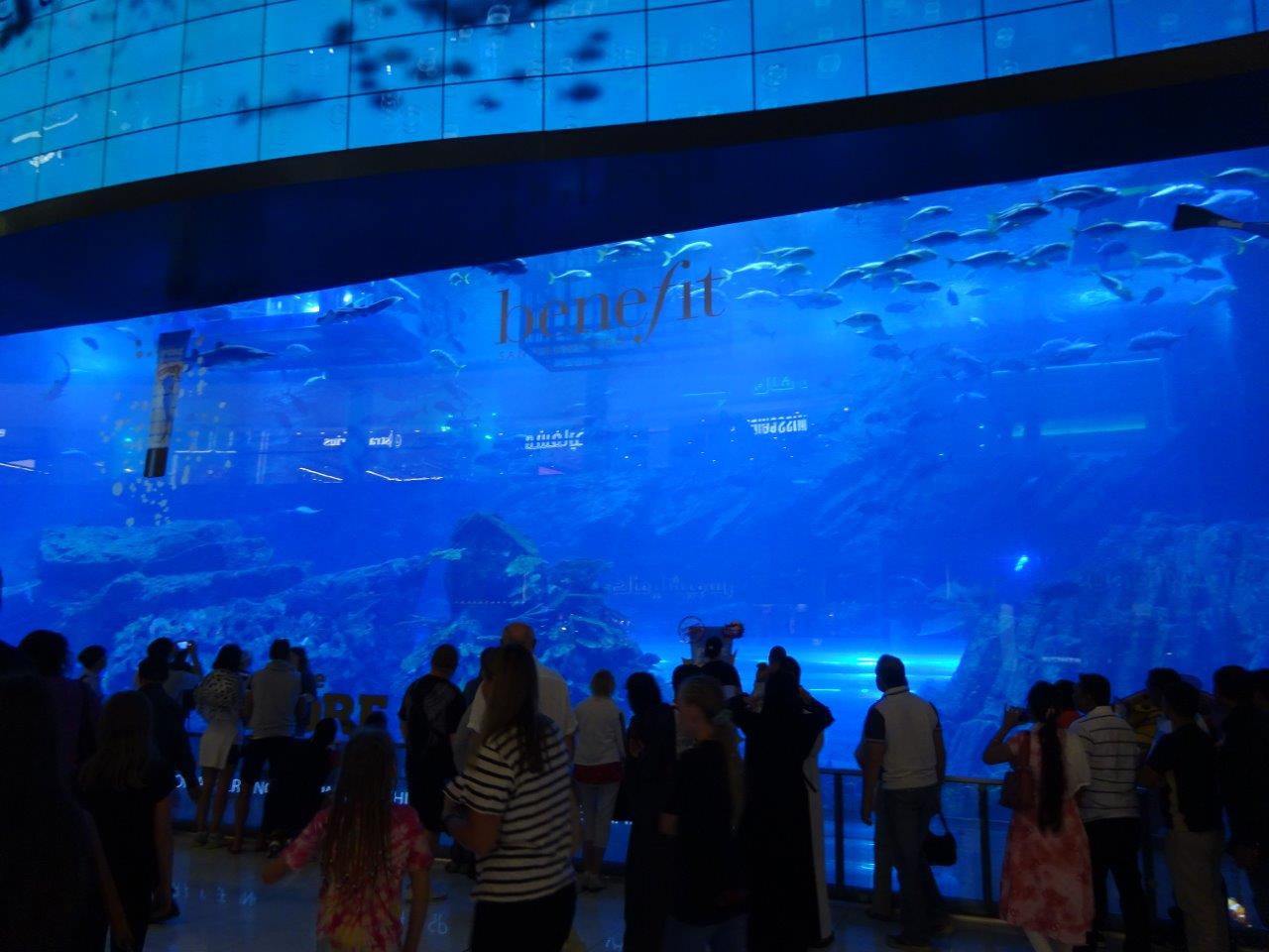ドバイモールの水族館