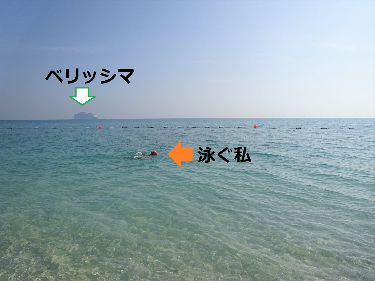 コスタマジカは左です