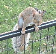 �����ɂ��ӂ�Ă������X�N�������~���ɓ���