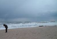 ���͂̍r�ꂽ�C