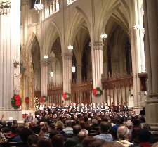 ����́A�s�������Łu�����l�v�ɂȂꂻ���ȋC���ɂȂ�