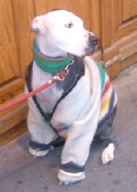 ������ŁA������̃Z�[�^�[�A���Ă܂�