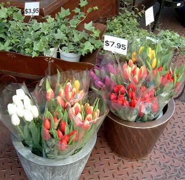 �܂��������ǁA�ԉ�����̊O�ɂ��������Ԃ悤�ɂȂ����B