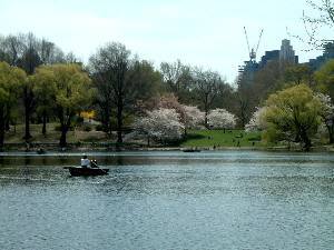 �Z���g�����p�[�N�ɍ������B