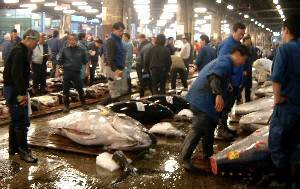 ���U���O�Ȃ̂ɁA�l�ł����ς��̒z�n����s��