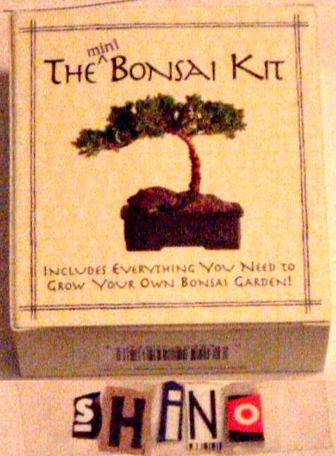 ������݂����ɐ؂�\�肵�Ă��鈶���ɂ��΂���