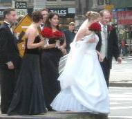 �X�p�Ō��������ԉł���B���K���ɁB